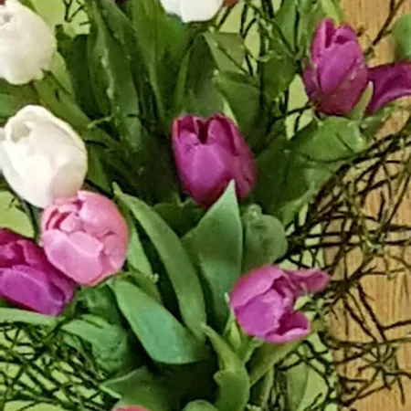 Appartement Haus Ferdinand