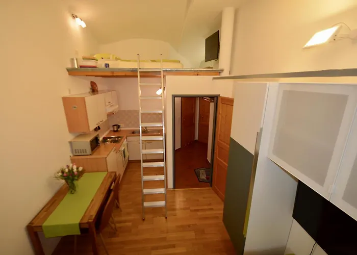 公寓 费迪南德公寓 *