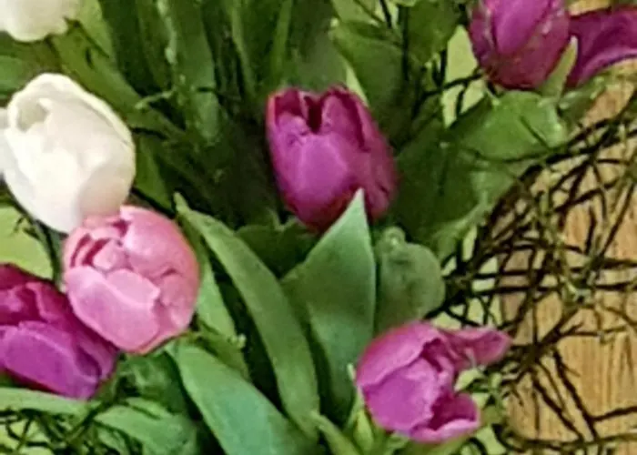 公寓 费迪南德公寓