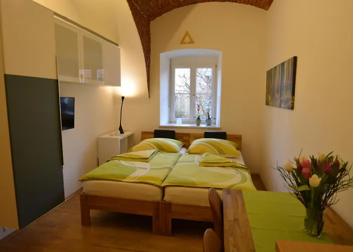 费迪南德公寓 公寓 *