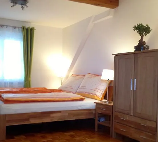 公寓 费迪南德公寓 *