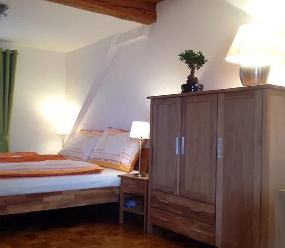 公寓 费迪南德公寓 *